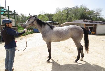 �ͺ����� ����