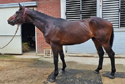 è���Ҵ� ����