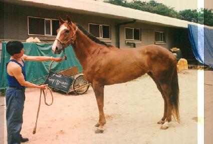 ����� ����