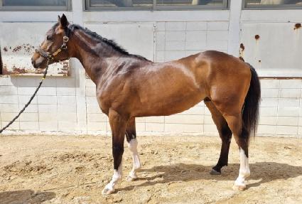 ������� ����