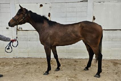 ��ſ�� ����