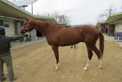 �Ѱ���Ÿ��ƽ ����