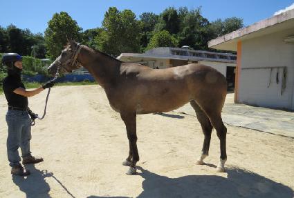 ������� ����