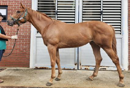 ����Ʈ��� ����