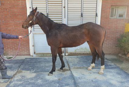 ����ŷ���� ����