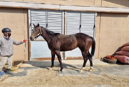 �𸮹�Ƽ�己 ����