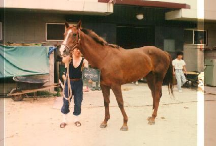 �ɴ�� ����