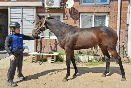 ����ũ�պ��� ����