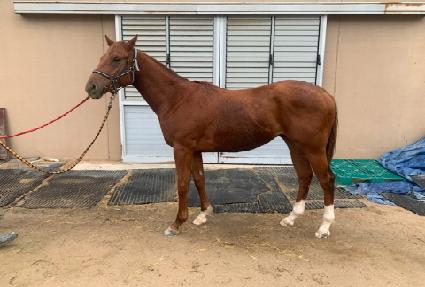 �������� ����