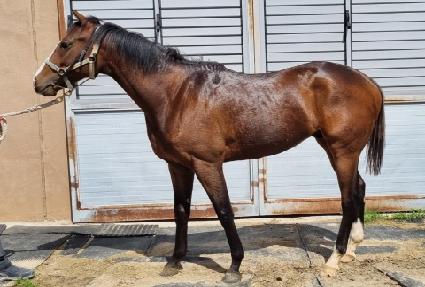 ����巡�� ����