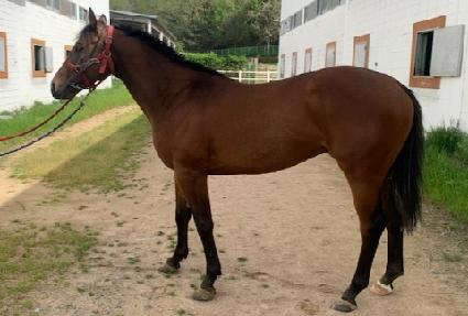 �۽�Ʈ���ټ� ����