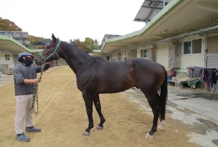 �ǿ��������� ����