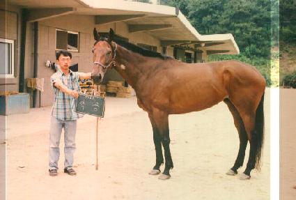 ���� ����