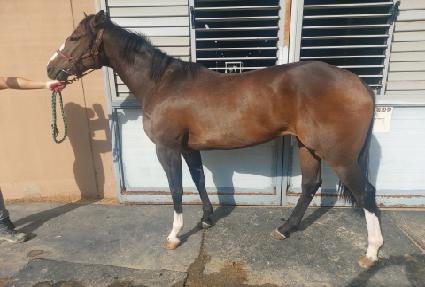 ���庣�� ����