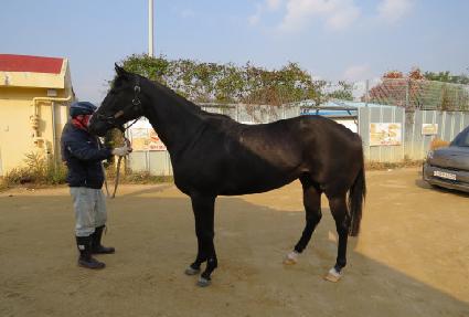 �ǿ�������Ʈ ����