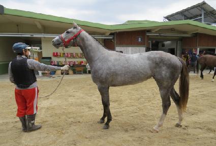 �л���ǳ ����