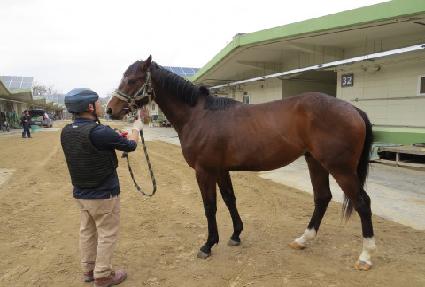 �л��ũȣ�� ����