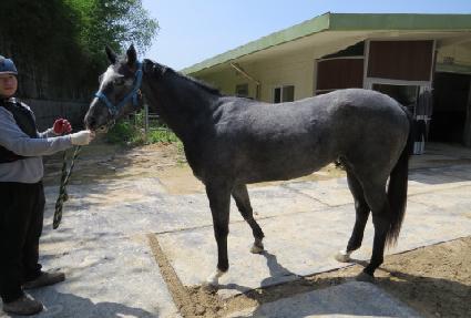 �л�Ŭ���� ����