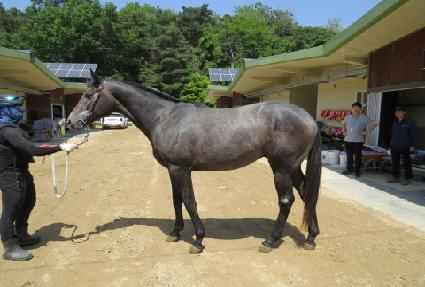 �л������� ����