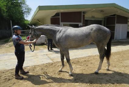 ��𰡵� ����