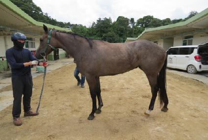 �л�è�� ����