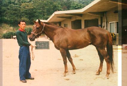 â�۱� ����