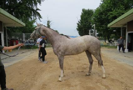 ���������� ����