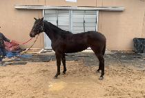 ȭ�������� (HWARYEOHANJOMYEONG) ����