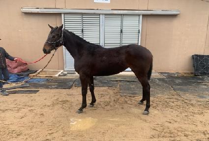 ȭ�������� ����