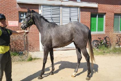 ��Ʈ��Ÿ ����