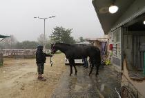 �۴��� (FUNNY TAP) ����