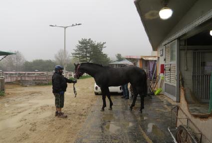 �۴��� ����