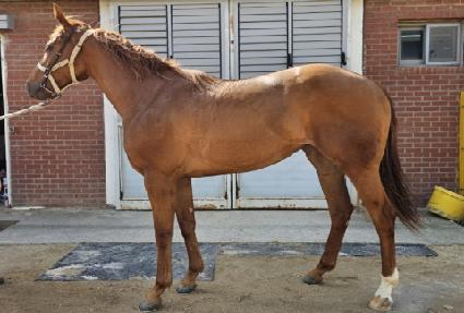 ����è�� ����