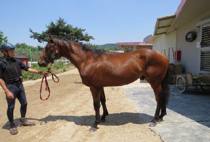 ����üũ ����