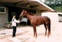 û��� (CHEUNG-UN-MAL-LI) ����