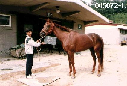 û��� ����