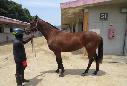 ��´�ĳ��� ����