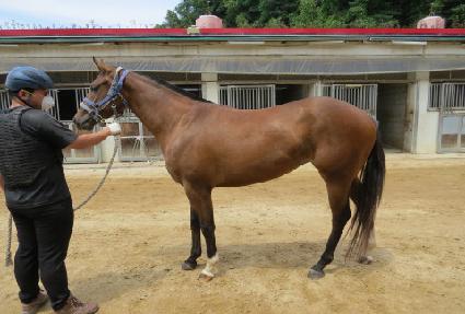 ��´������� ����