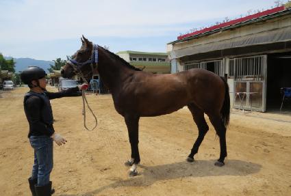 ��µ����۷� ����