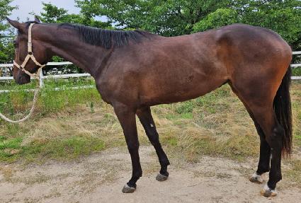 ���ν��� ����