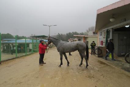 ������ ����