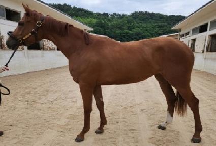 ����ũ�巡�� ����