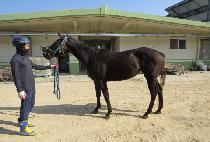 �����̺�Ʈ (M J VET) ����