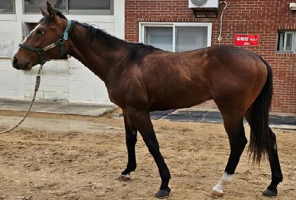 ������ ����