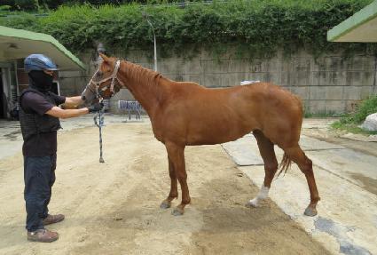 ����� ����