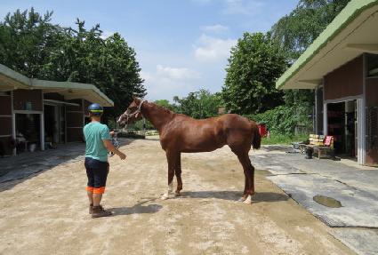 ��ũ�����̼� ����