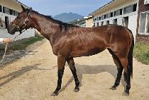 ����Ʈ�� (SWEET BELLE) ����