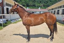 ��Ÿ (ZITA) ����