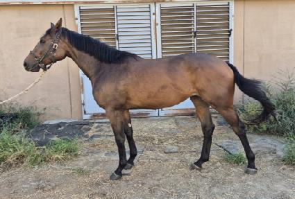 ��ĵ�� ����