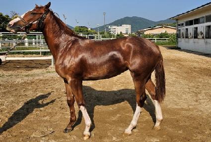 ���Ϳ���ž ����